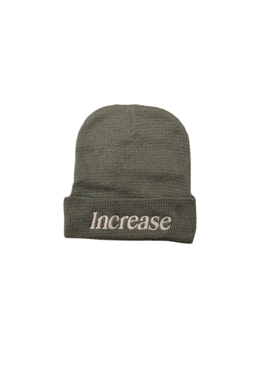 BEANIE HAT - GREY